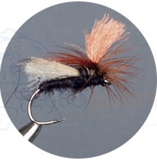 Crown Black Parachute Sedge